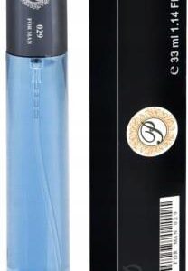 Perfumik Męski 29. Bleu De Ch Perfumetka 33Ml